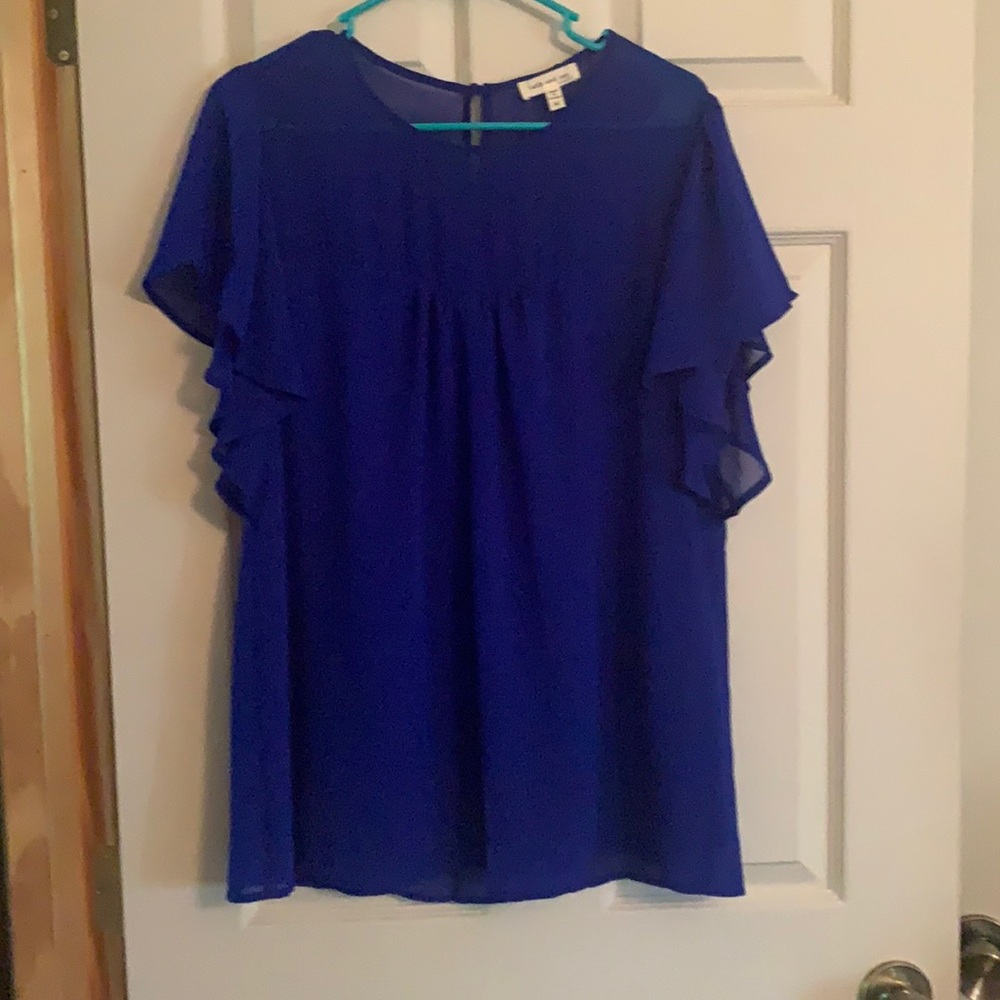 Sheer Blouse